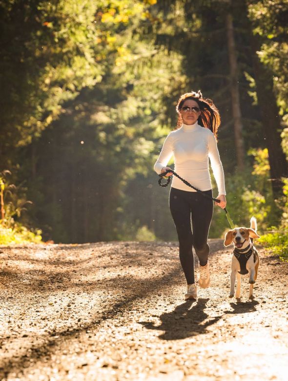 Woman jogging on a sunlit forest trail with a beagle dog on a leash.